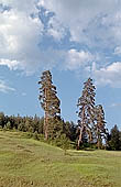 Rhodopi Mountains 